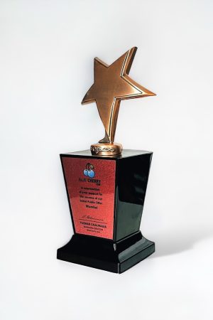 PYTWM9501 (Normal Quality, Hollow)