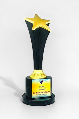 Wood and Metal Trophies