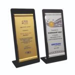 PYTWM9969 (Pristine Silver)